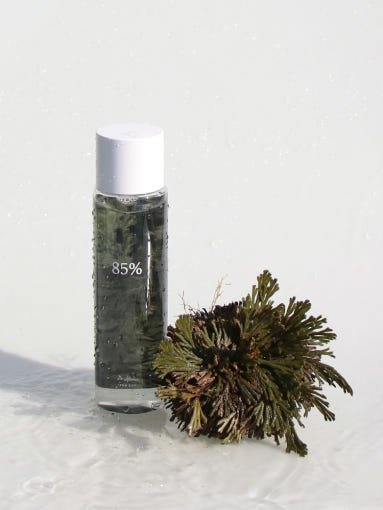Dr.Althea Anastatica Skin Conditioning Toner 250ml | Korean Skincare | Skin Science Lab