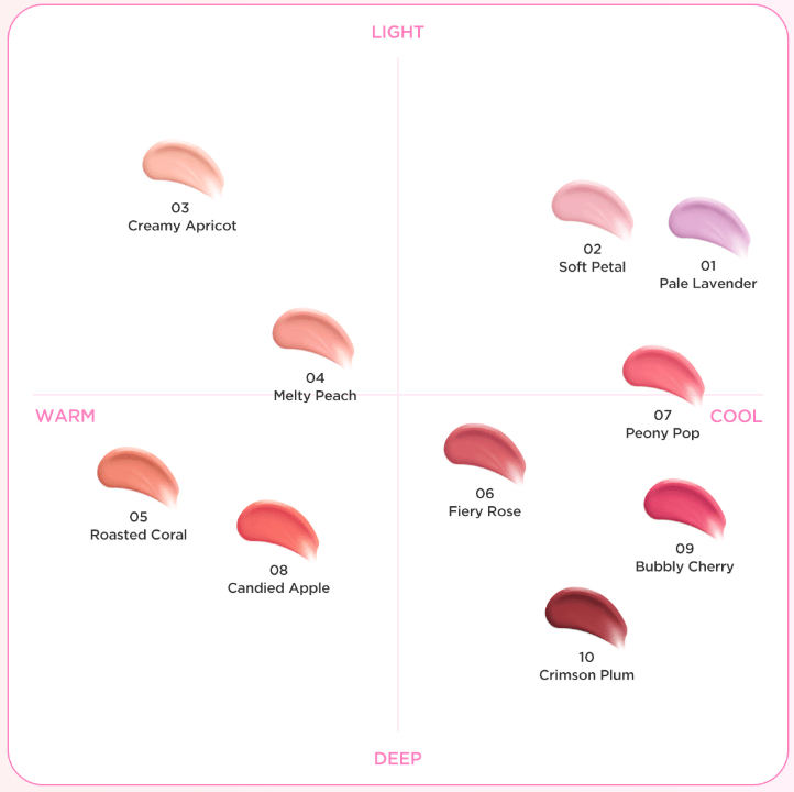 TIRTIR Airy Bloom Mesh Blush 5g (10colors) | Korean Skincare | Skin Science Lab